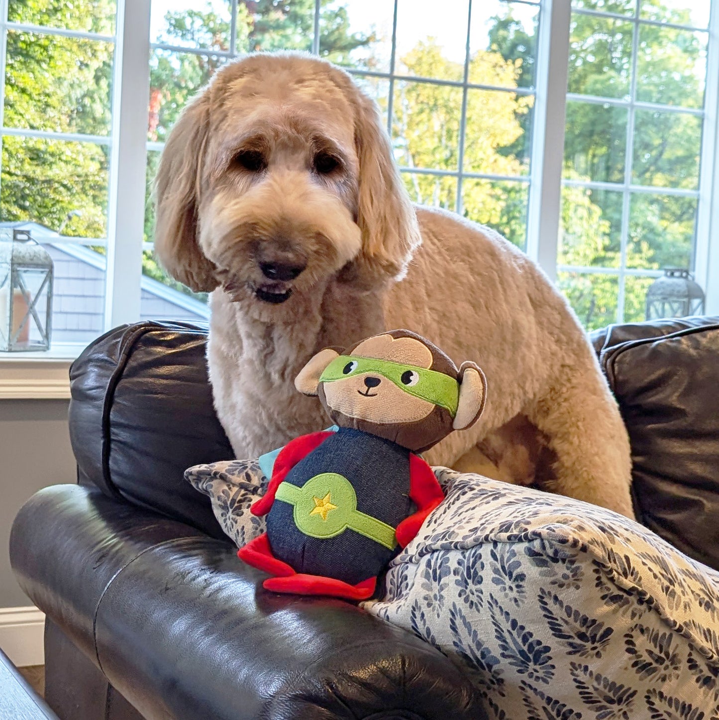 12" Super Monkey Plush Dog Toy