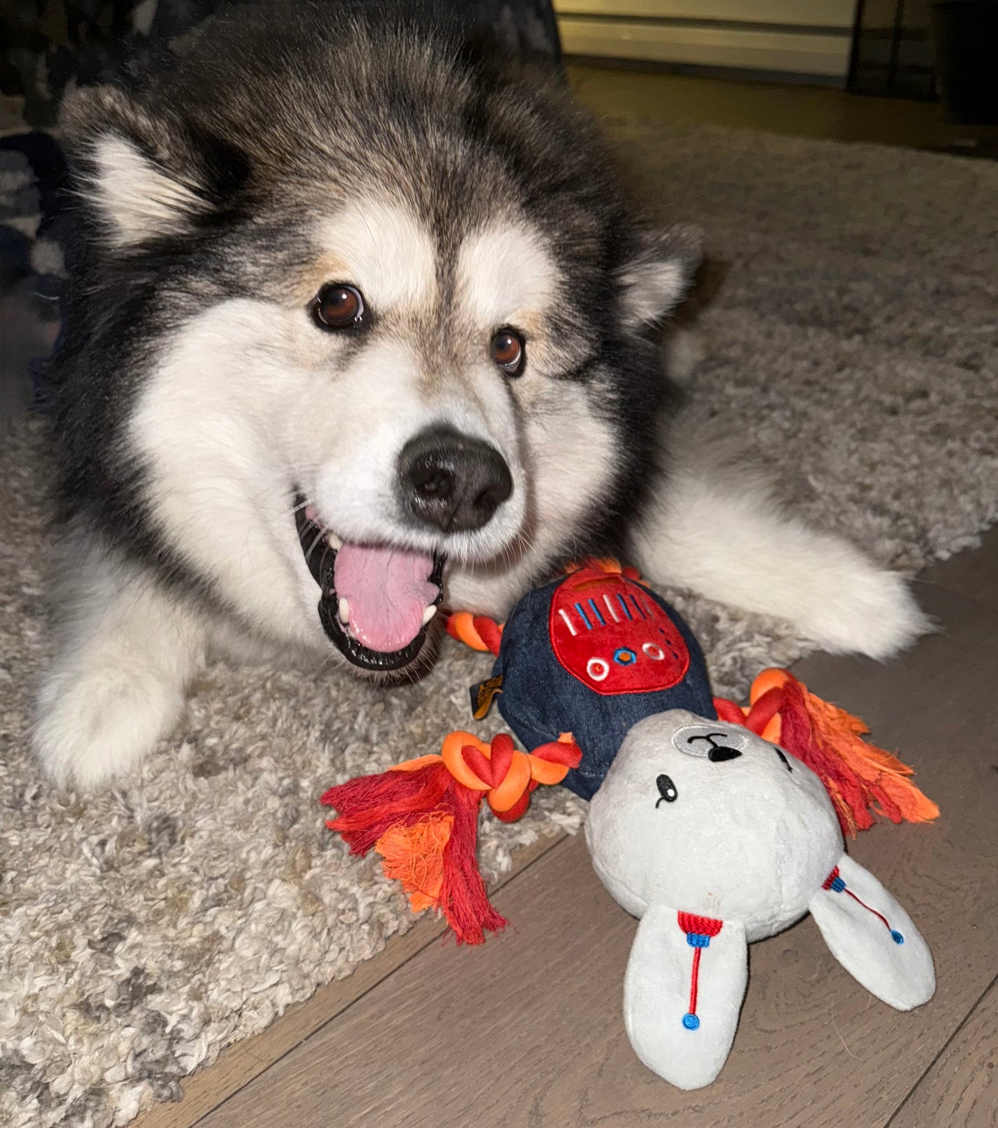 14" Robot Bunny Plush Dog Toy with Rope