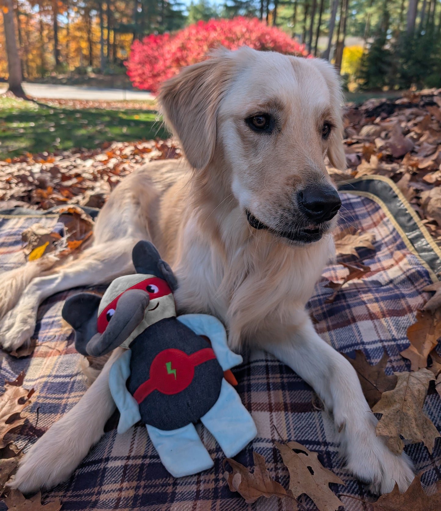 12" Super Elephant Plush Dog Toy