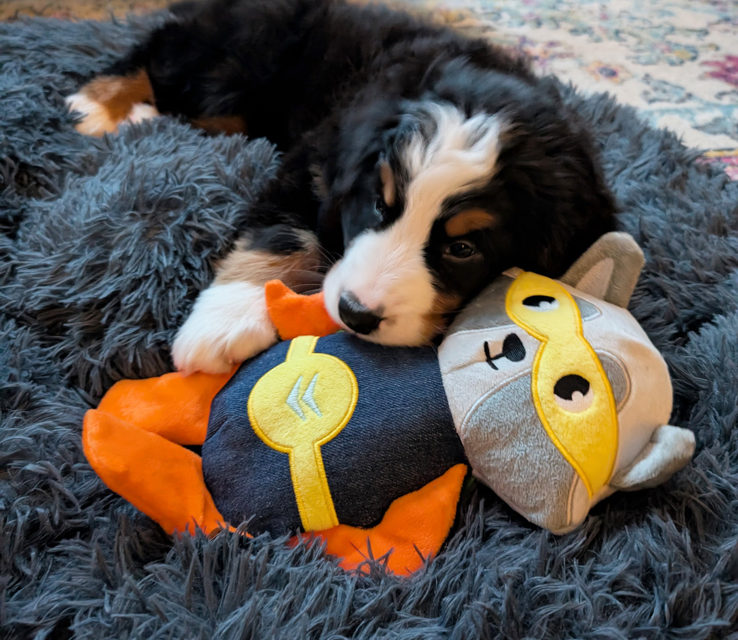 12" Super Raccoon Plush Dog Toy