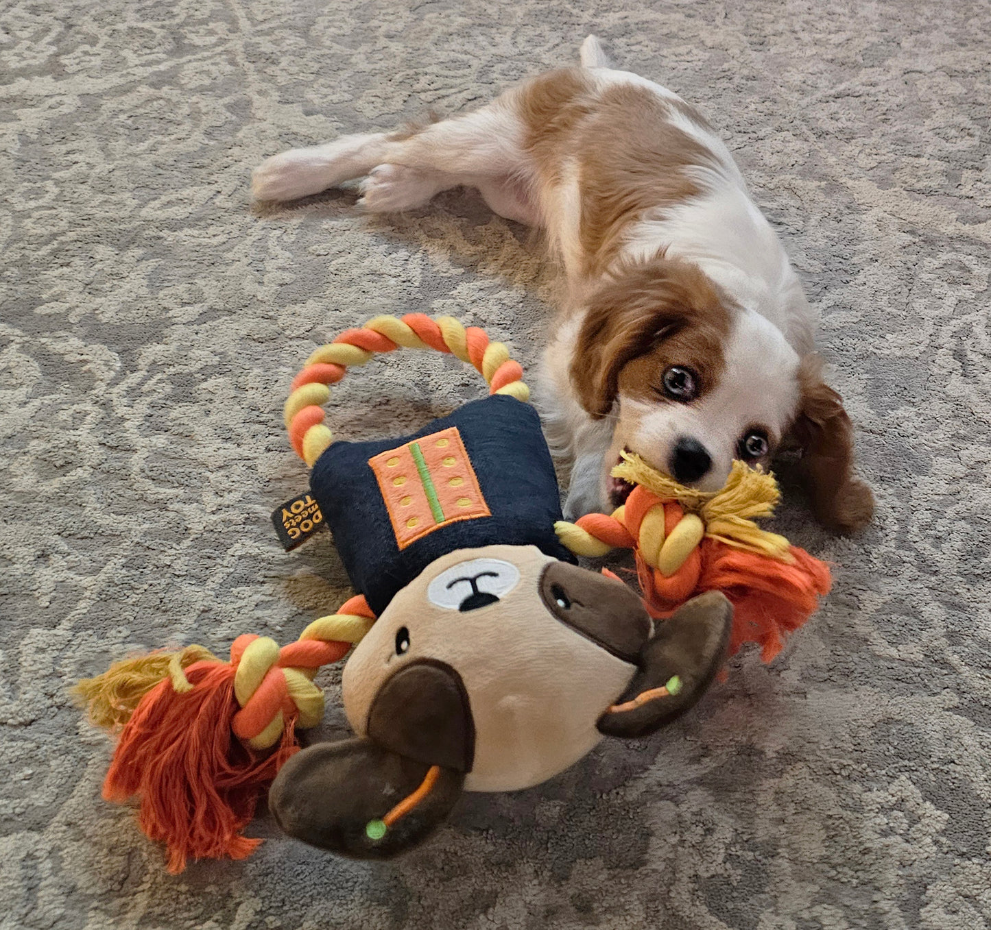 14" Robot Dog Plush Dog Toy with Rope