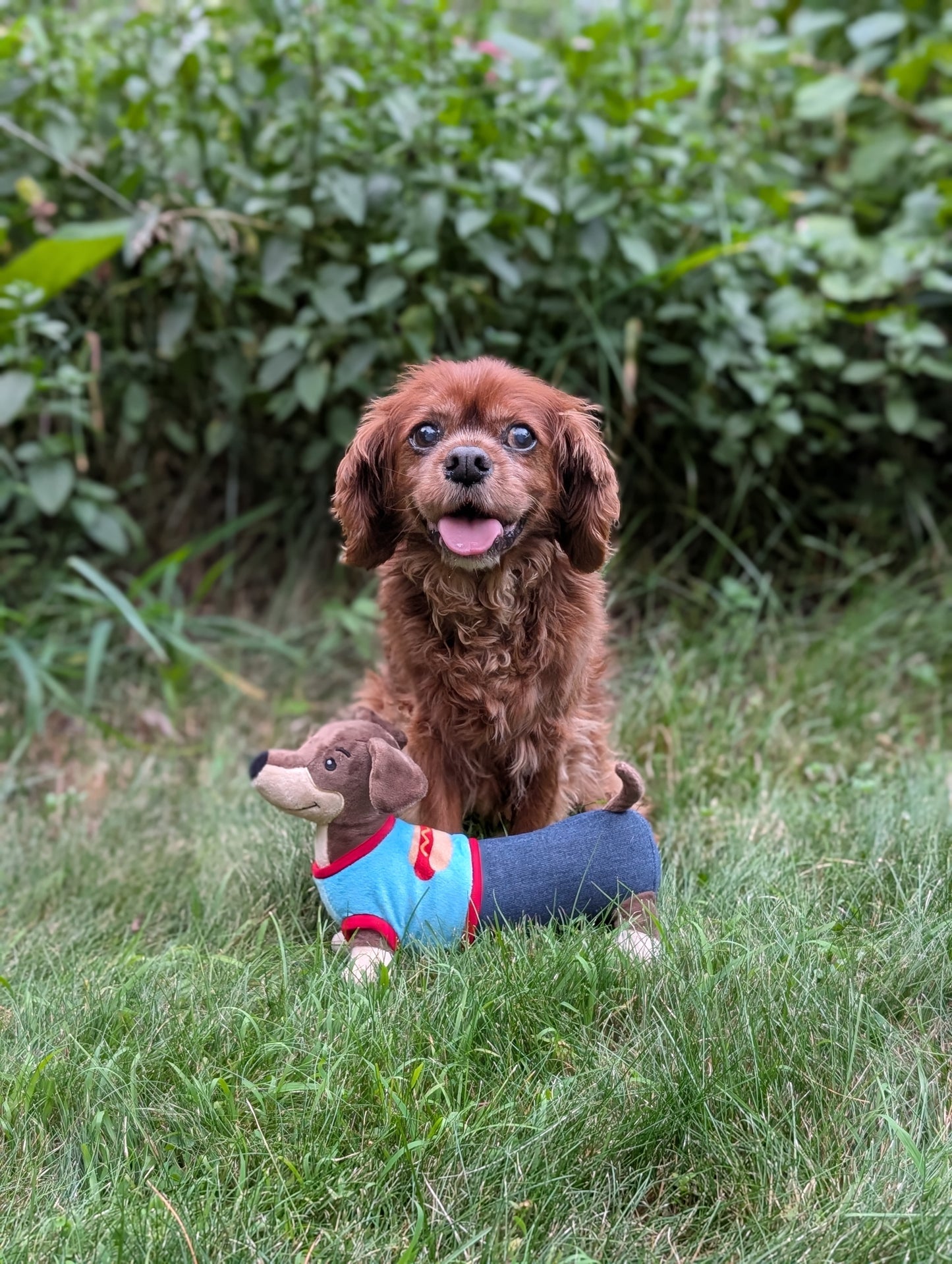 10" Wiener Dog Plush Dog Toy