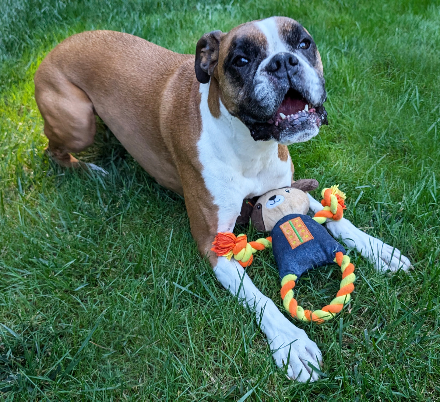 14" Robot Dog Plush Dog Toy with Rope