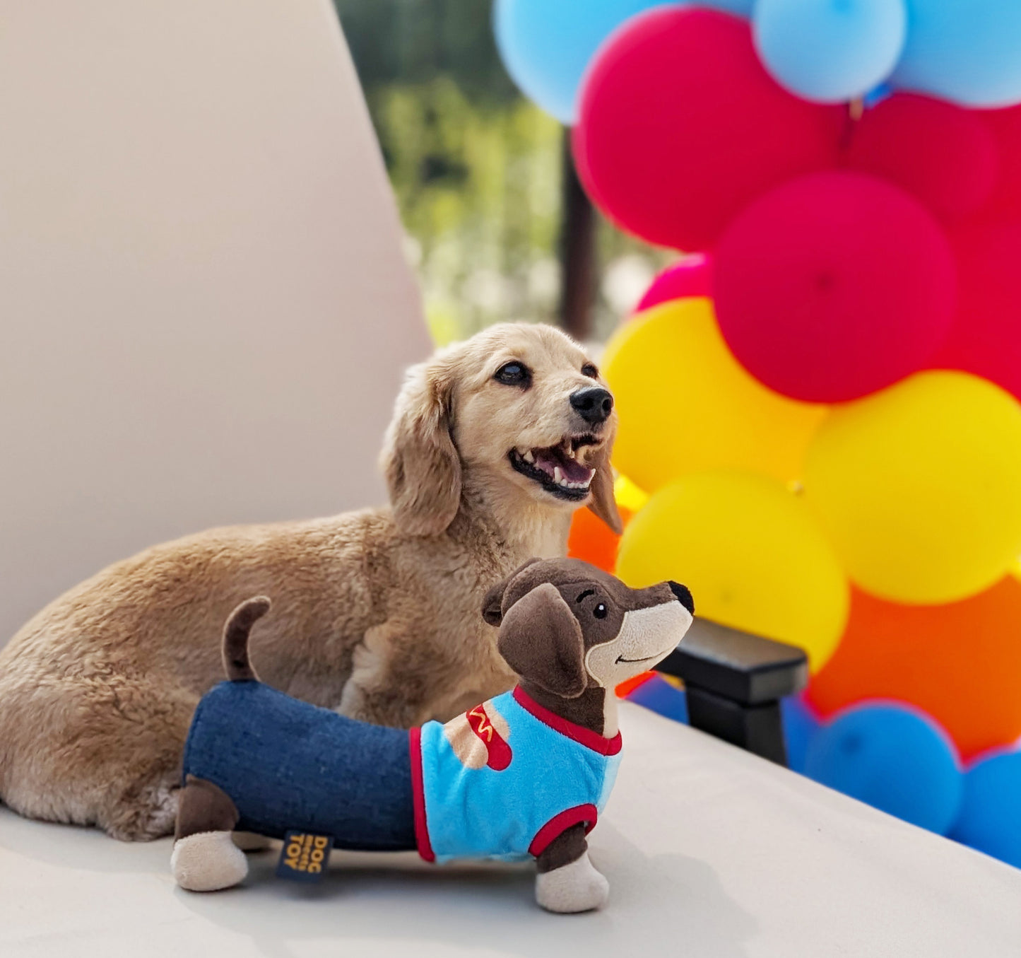10" Wiener Dog Plush Dog Toy