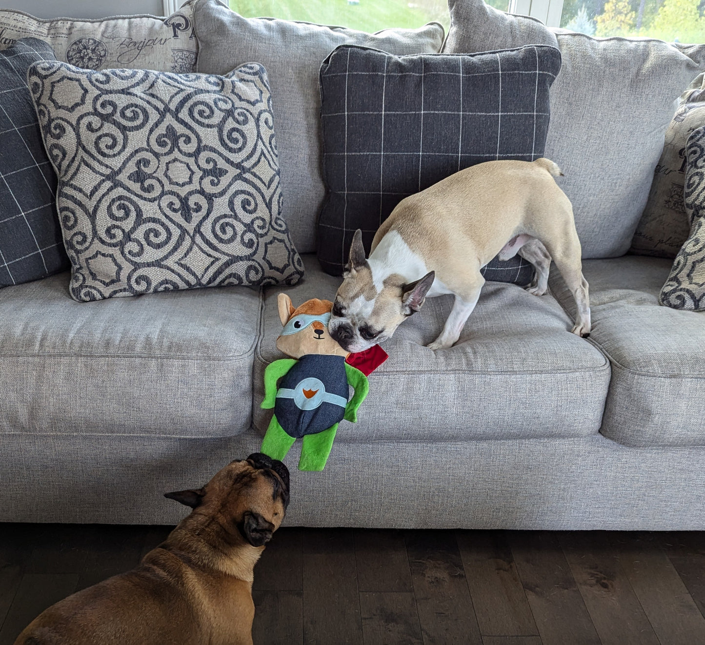 12" Super Fox Plush Dog Toy