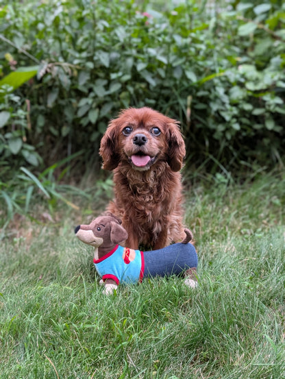 10" Wiener Dog Plush Dog Toy